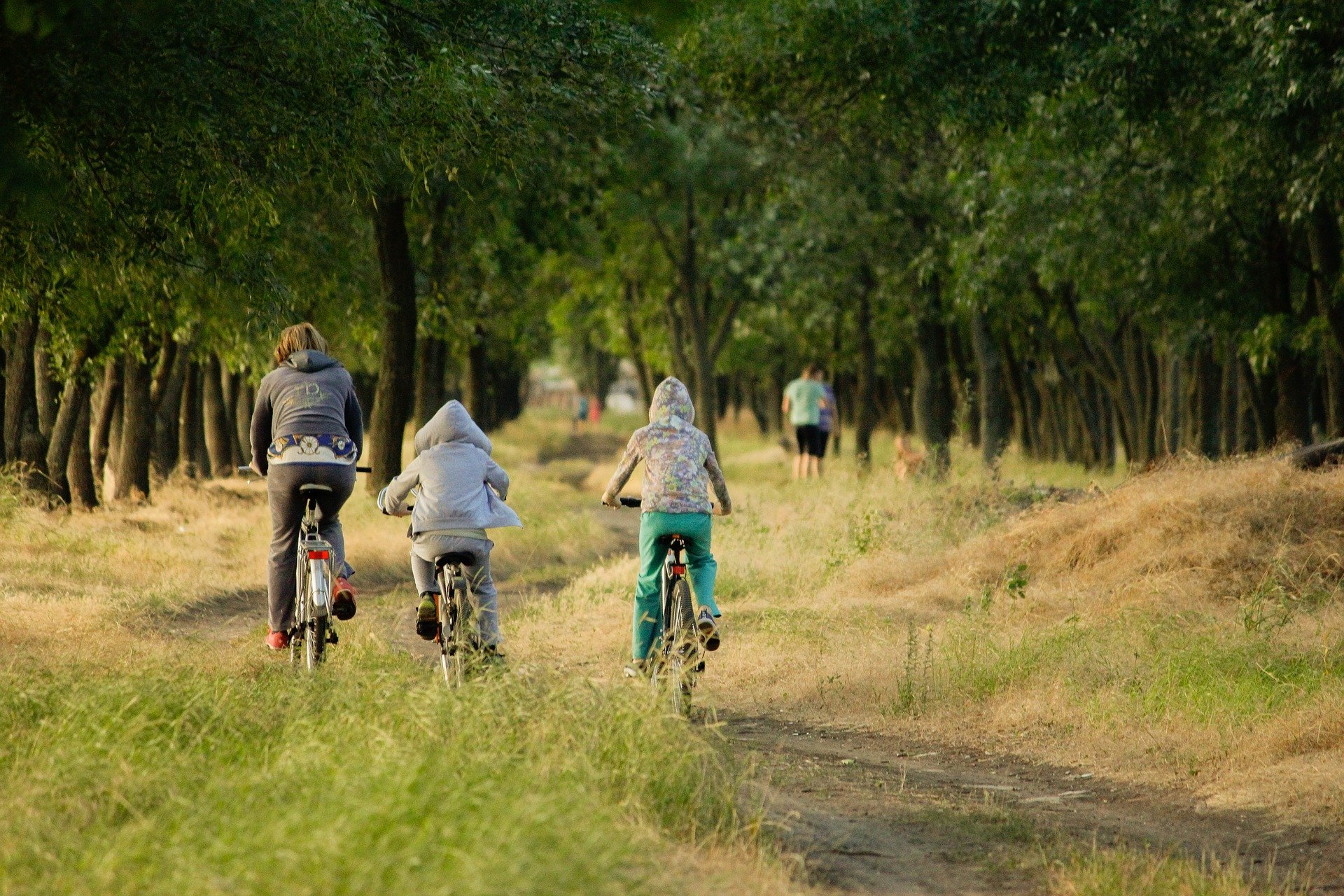 Family cycling in woods